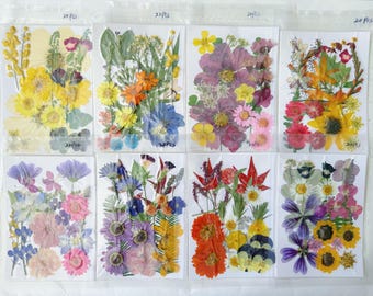 Real Pressed Dried Flowers & Leaves: Resin Art, Bookmarks, Card Making