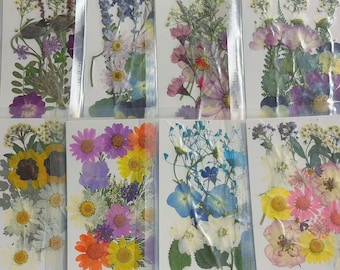 以下が含まれることがあります： 透明なプラスチックの袋に入った、押し花が施された8枚のカード。 デイジーやヒマワリなど、さまざまな種類のドライフラワーが白い厚紙に配置されています。 花の配置は、さまざまな色とスタイルを示しています。