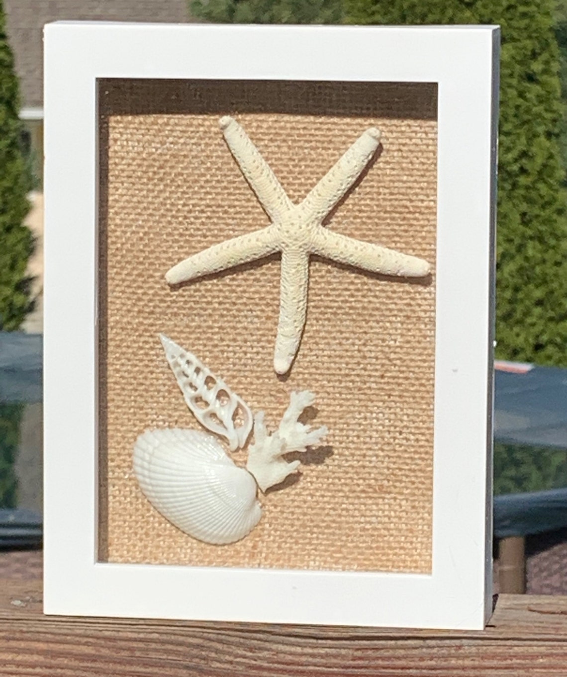 Seashell shadow box art wall art home decor beach decor Etsy