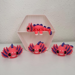 Lotti Flexi Axolotl, simpatico axolotl stampato in 3D, regalo, libro, decorazione per libreria e scrivania