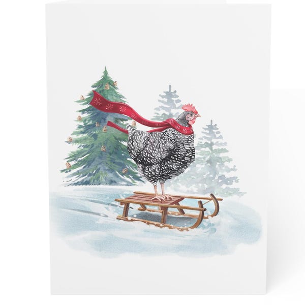 Sledding Chicken Christmas Card Set | Barred Rock Hen on Sled w/ Red Scarf Funny Holiday Paper Greeting Cards | 100% Proceeds to Charity
