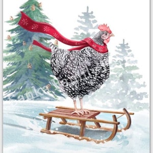 Sledding Chicken Christmas Card Set Barred Rock Hen on Sled w/ Red Scarf Funny Cute Holiday Paper Greeting Cards | 100% Proceeds to Charity