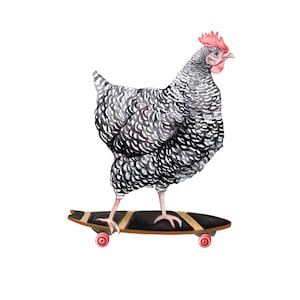 Skateboarding Chicken Blank Card Set | Barred Rock Hen on Skateboard l Funny Cute Greeting Cards for farmer | 100% Proceeds to Charity