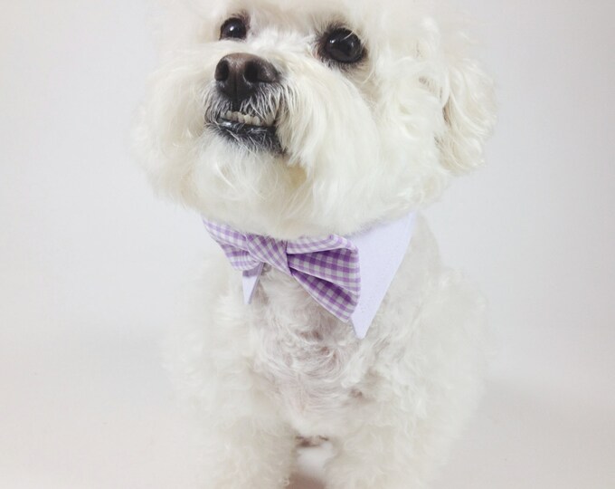 Dog Bow Tie and Shirt Collar Matte Satin Bow Tie and Gingham Etsy