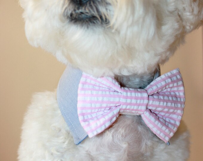 Dog Bow Tie and Shirt Collar Wedding Dog Collar Seersucker Etsy