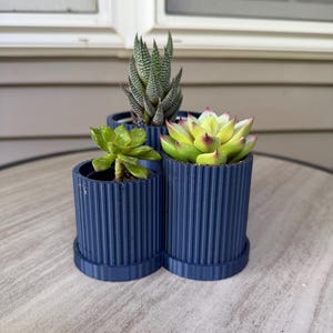 3D Printed Triple Plant Holder with Drip Tray | Multi-Pot Desk Planter for Succulents & Small Houseplants