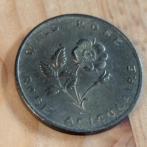 May include: A bronze-colored coin featuring a detailed floral design of a wild rose. The coin has the words "WILD ROSE" and "ROSE ACICULAIRE" around the edge. The coin is on a wooden surface.