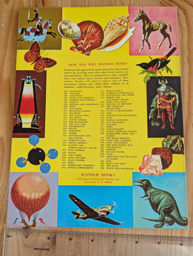 The How and Why Wonder Book of Wild Animals 1970's Illustrated ...