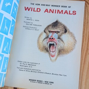 The How and Why Wonder Book of Wild Animals 1970's Illustrated ...