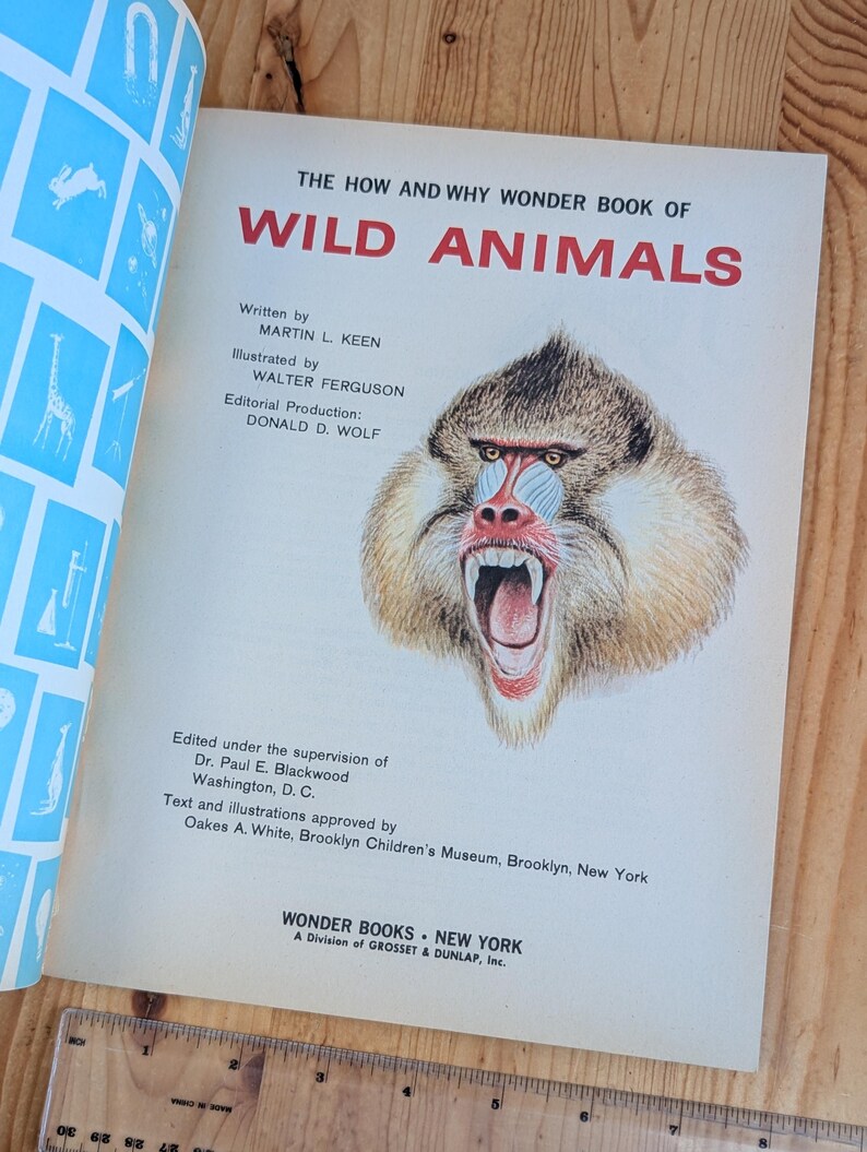 The How and Why Wonder Book of Wild Animals 1970's Illustrated ...
