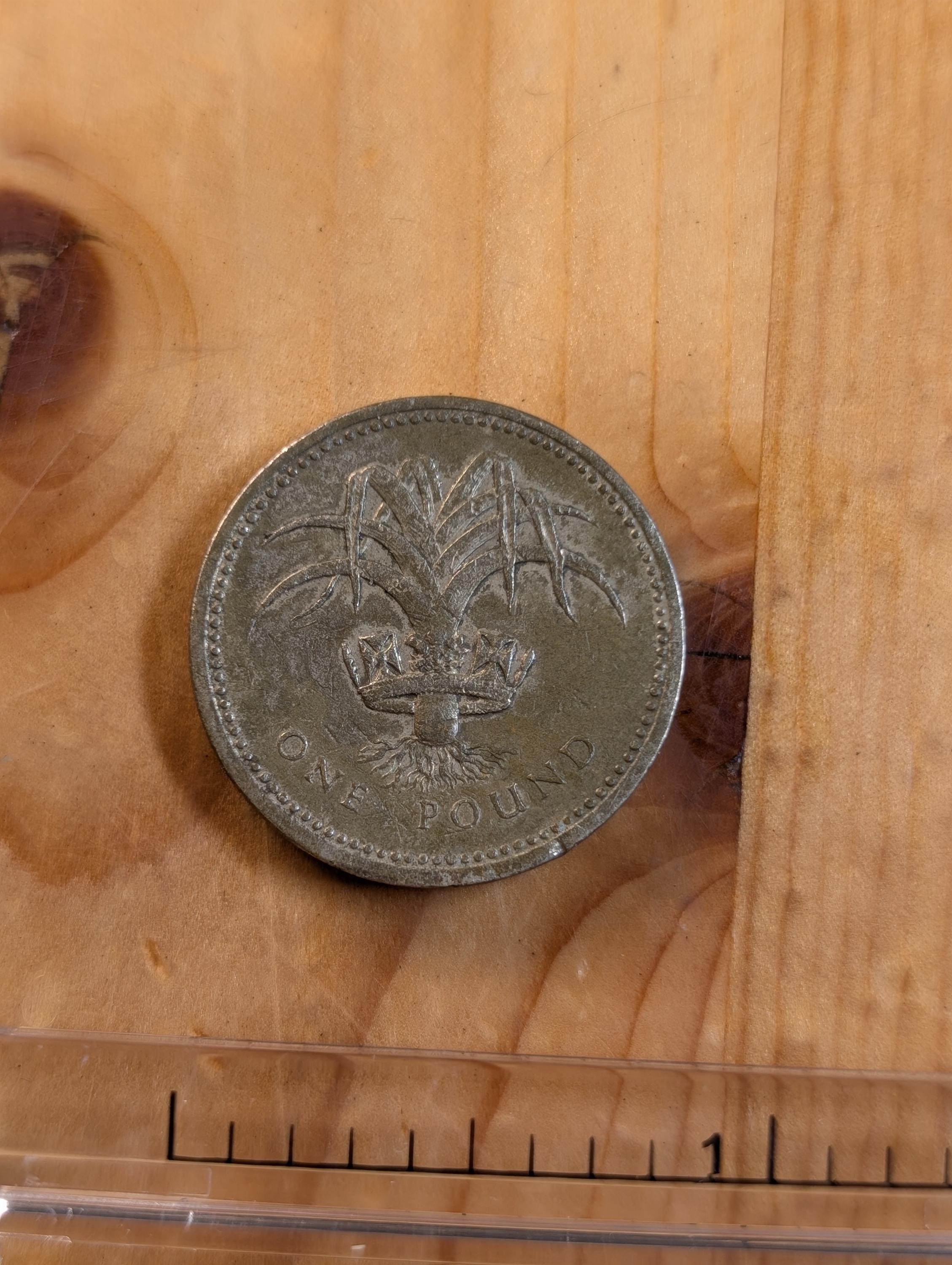 1985 elizabeth ii one pound coin - Etsy 日本