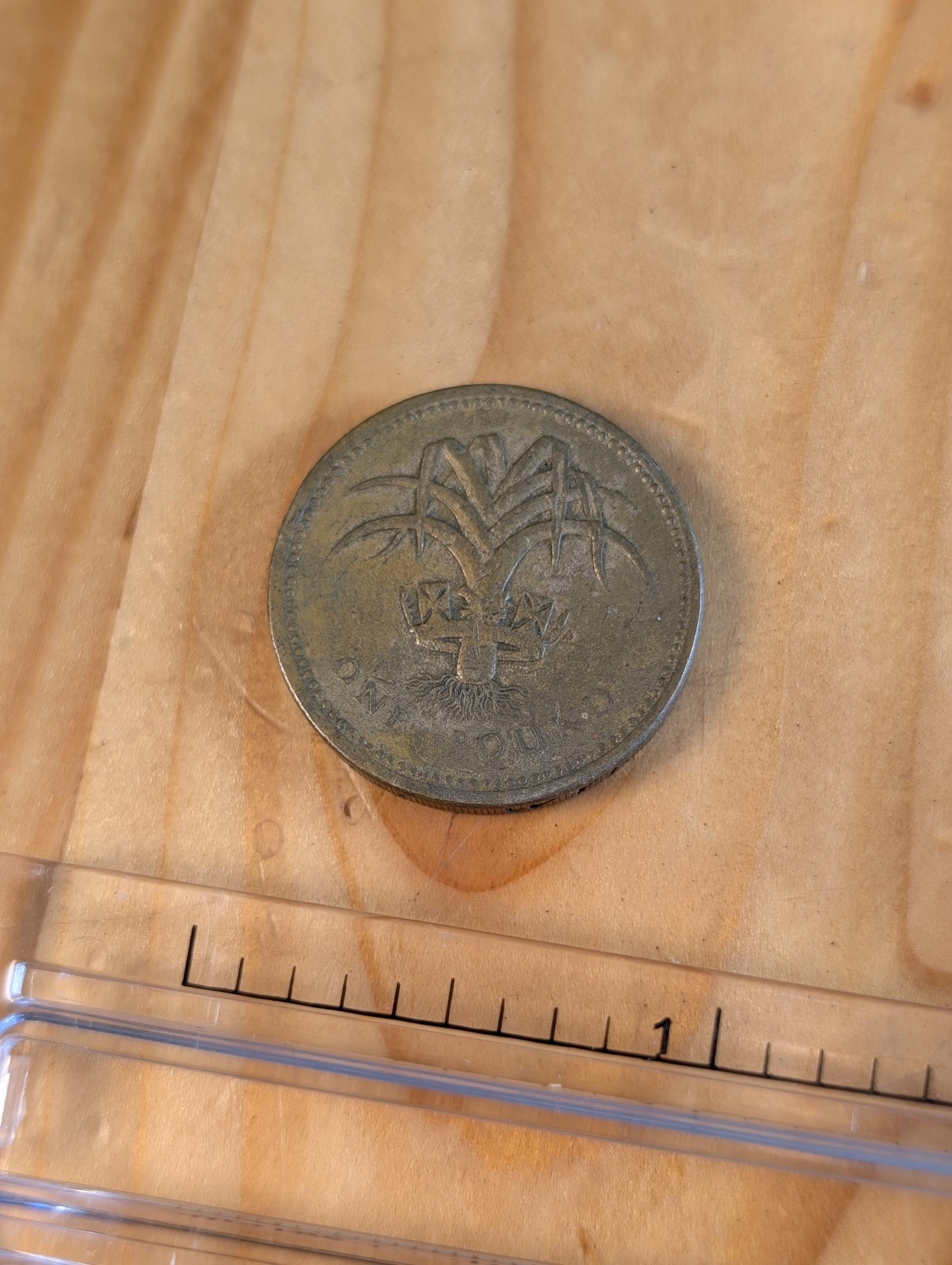 1985 elizabeth ii one pound coin - Etsy 日本
