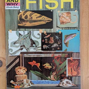 The How And Why Wonder Book Of FISH 1970 70s Vintage Childrens Science Book