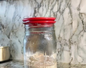 sourdough, sourdough starter, bread, artisan baking, probiotics, natural, organic, grain, flour, rye,