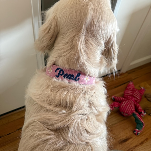 Custom Needlepoint Pet Collar Canvas