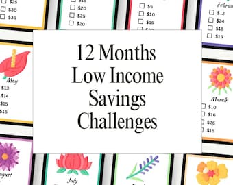 A6 Savings Challenge Bundle: 12-Month Money Tracker (Printable, Editable Canva Template)