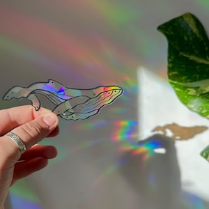 May include: A holographic whale sticker with a black outline is held up against a white background. The sticker reflects a rainbow of colors. A green and yellow leaf is visible in the background, with rainbow light reflections.