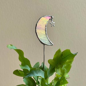 May include: An iridescent glass moon with a small star charm, attached to a metal stake. The moon is a crescent shape and has a yellow, pink, and blue colour gradient. The stake is inserted into a green plant.