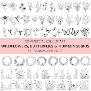 Image clipart noir et blanc de fleurs sauvages, de papillons et de colibris au trait fin - 54 fichiers PNG transparents à usage commercial