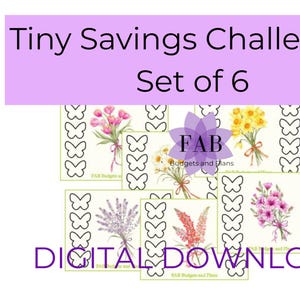 Puede incluir: Un conjunto de seis desafíos de ahorro digitales con ilustraciones florales. Las tarjetas presentan ramos de tulipanes rosas, narcisos amarillos, margaritas blancas, lavanda morada, flores rojas y flores rosas. El texto dice "Tiny Savings Challenges Set of 6" y "DIGITAL DOWNLOAD".