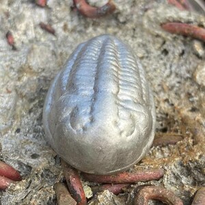 Aluminum trilobite ingot