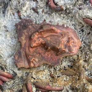 Copper fish ingot