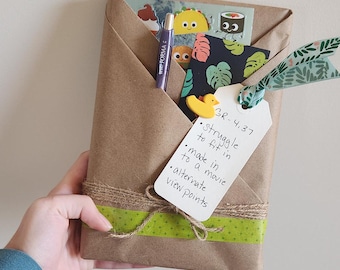 Elementary Reader Surprise Book Gift Set  - Shipping Included
