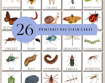 Bug Flashcards for Toddlers and Children, Interactive Cards for Kids, Printable Flashcards for Learning, Toddler Activity, Scavenger Hunt