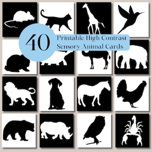 40 dierensensorische kaarten met hoog contrast voor baby's en baby's, zwart-witkaarten voor pasgeborenen, afdrukbare flashcards voor buiktijd, leren