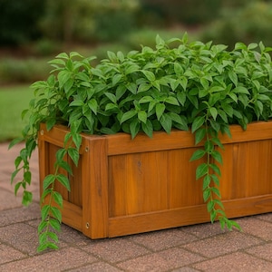 Holz Pflanzgefäß Mittel - Rechteck