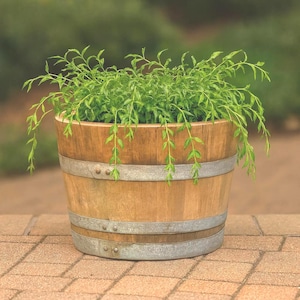 Oak Wood Half Barrel Planter