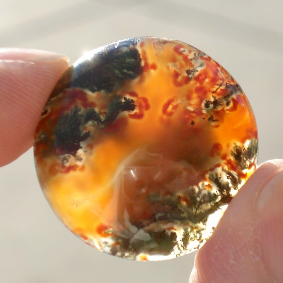 Antique Carved Agate Collar Button - image 4