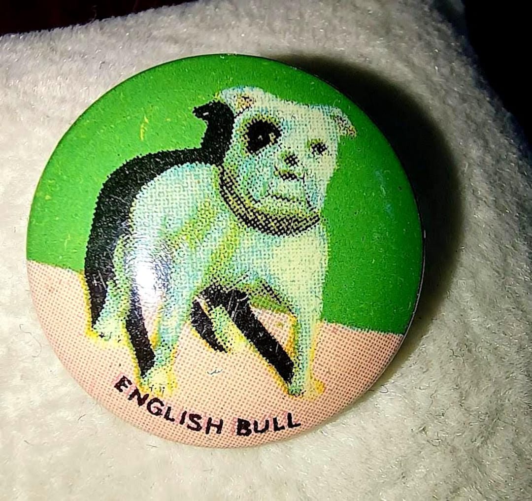 1930s Bulldog Button Pin--vintage Tin Litho Badge--