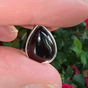 以下が含まれることがあります： 銀色のベゼルが付いた、涙の形をした黒色の研磨された宝石のペンダント。 宝石は指の間に挟まれ、緑の葉と赤い花の背景があります。