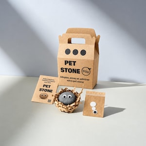 May include: A brown cardboard box labeled PET STONE with three black dots, a small gray stone with googly eyes in a paper nest, an adoption guide card, and a small brown envelope containing extra adhesive googly eyes for the pet stone.