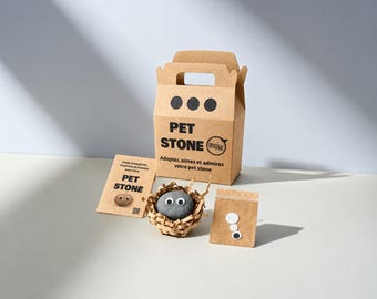 Rocky, the Pet Stone with attitude | Stone desk mascot with adoption certificate | Quirky gift and decor object