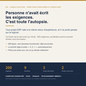ERP specifications - Excel template, 200 weighted and prioritized requirements