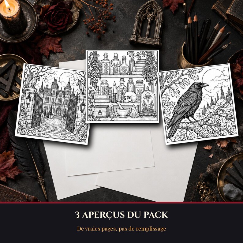 Halloween Coloring Pages for Ages 9-12 to Print, 9 Detailed Gothic Illustrations of a Raven Manor and Forest (PDF) image 2