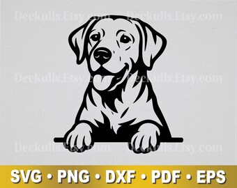 Labrador Retriever Dog | Black Lab SVG | Pet Lover | Cut File, Design, Clip Art | Svg, Png, Eps, Dxf, Pdf Files | Silhouette, Cricut