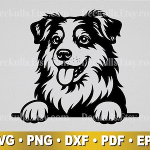 May include: Black and white graphic of an Australian Shepherd dog with its tongue out. The dog's paws rest on a horizontal line. The image includes the text "SVG • PNG • DXF • PDF • EPS" in a gold banner.