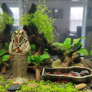 Egyptian Fish Tank - Etsy