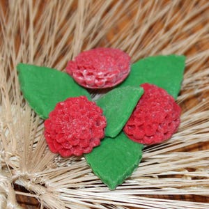 mum flower bunch with leaves