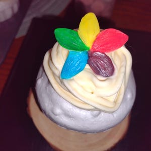 Rainbow Flower blossom