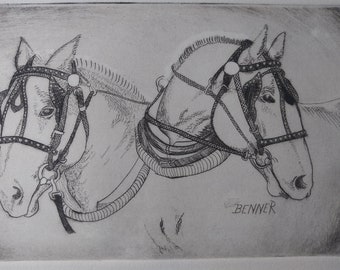 Draft Horses- Vintage Dry Point Etching by Benner, Original Piece with Description, Draught Horses, Percherons, Pulling Horses, Vintage Art