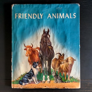 Friendly Animals by Karl Patterson Schmidt - Vintage Illustrated Hardcover Book 1947, Wonderful Period Illustrations of Dogs, Horses, Cats