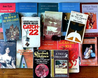 14 books- Lot of Essential Reading -Banned Books, Classic Women Writers, High School College Prep, English Major Requirements, School Req.