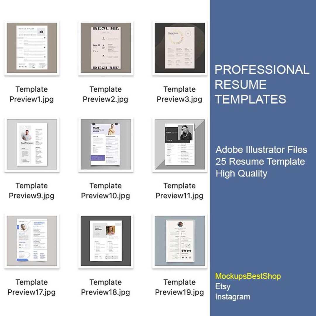 Professional Resume Templates, Adobe Illustrator Template Files