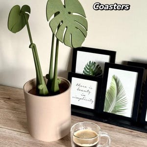 Monstera Coasters