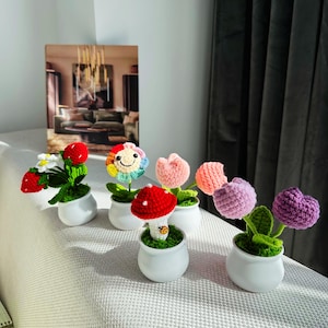 Crochet Potted Plants - Amigurumi Plants - Cute Knitted Desk Decor - Housewarming Gift