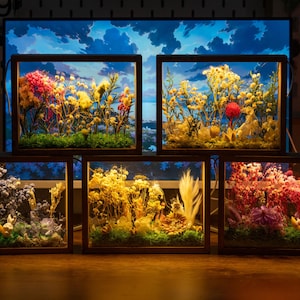 May include: Five illuminated shadow boxes with dried flowers. Each box has a dark wooden frame and a glass front, displaying colourful floral arrangements. The background features a blue sky scene.